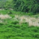 광암농장 이미지