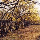 꽃마을펜션 이미지