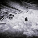 주연과조연 이미지