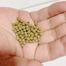 두호한의원 이미지