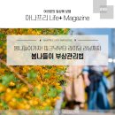 봄나들이가자 꽃놀이부터 피크닉 라이딩 러닝까지 당일치기 나들이추천부터 부상 관리법