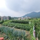 부곡리부동산공인중개사사무소 이미지