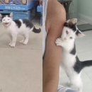 바른마트 이미지
