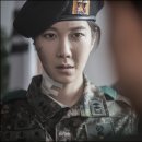 골든타이드픽처스 데일리안