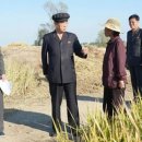 김동표 농장 이미지