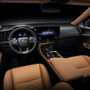 대신오토 이미지