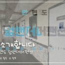 안면도덤앤더머 이미지