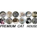 랙돌하우스 이미지