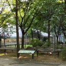 주안동고인돌 이미지