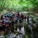 소백산 자락길 이미지