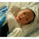 숲속의다향 이미지