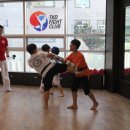 용인대 태권얍 이미지