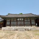 금성관광주