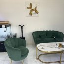 펫퍼스트 24시 강아지분양고양이분양 용인점 이미지