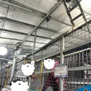 funny 게임랜드 이미지