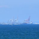 대왕자원 이미지