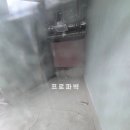 프로파벽