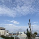 신라스테이플러스이호테우 이미지