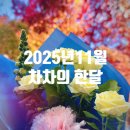 천안밤나무골가족사랑캠핑장 | 2025년 11월 차차의 한 달 일상 일기