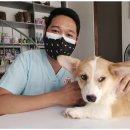 가능동물병원 이미지