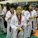 태풍태권도 이미지