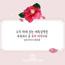 자유하는 이미지