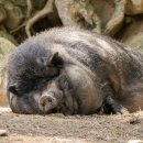 번성농장 이미지