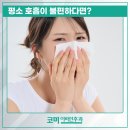 코미이비인후과의원 이미지