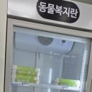 에그플 이미지
