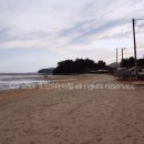 명교해수욕장 이미지