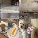 카페 연희 | 연희동 카페 연희 에스프레소 바 망고산도 내돈내산 후기