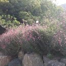 김천한솔펜션 이미지