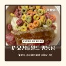 아이스크림 전문점 | 요거트 아이스크림 전문점_ 요거트월드 영통점 내돈내산 포장 후기