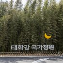 황룡강변(좌안)국가하천 자전거도로-2 | [울산 중구] 태화강 국가정원 십리대숲 (은하수길) - 전 견종 가능 · 맹견 입마개 · 목줄 착용...