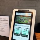 나인39 | 제천 포레스트 리솜 1박2일｜체크인 꿀팁부터 해브나인 스파, 스톤스파 후기