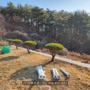 경북산소(주)