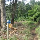 오조리-2 이미지