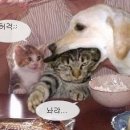 이선우안경 이미지