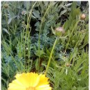 석수골 운동장 이미지