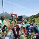 나눔농원 이미지