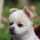 첨단2주거1호근린공원 이미지