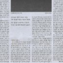 지음네일 Daum카페