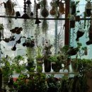 세종발효식품협동조합 이미지