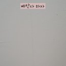 월드탄성 이미지