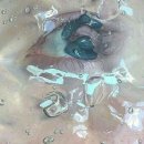 네일클리오