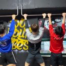 맥스체대입시학원 이미지