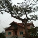 고부농장 이미지