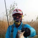 기세곡천 이미지