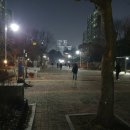 강촌공원 미디어투데이