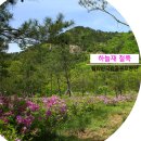 하늘재길 | 월악산 하늘재 맨발 트레킹, 하늘재 철쭉 괜찮았어!!